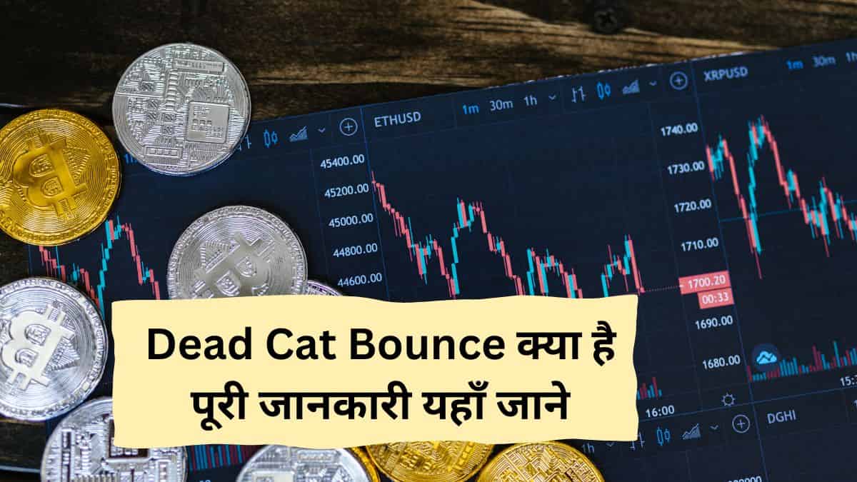 Dead Cat Bounce