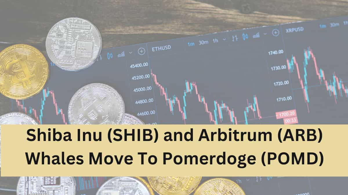 Shiba Inu (SHIB) and Arbitrum (ARB) Whales Move To Pomerdoge (POMD)